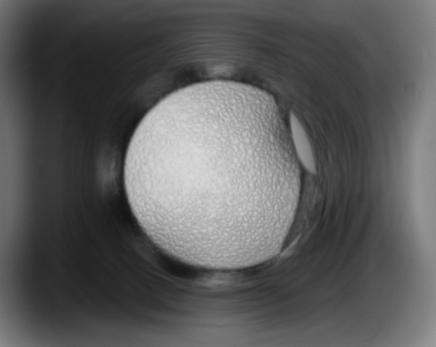 X0000087570082200705251829