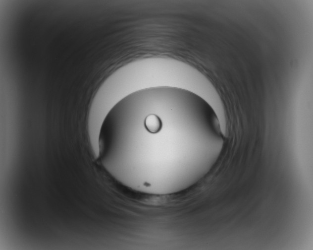 X0000087570084200705251829