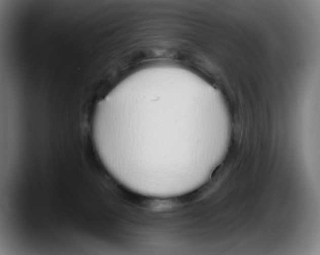 X0000087570085200705251829