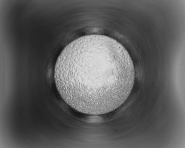 X0000087570087200705251829