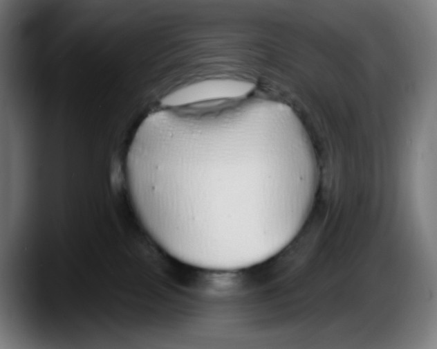 X0000087570089200705251829