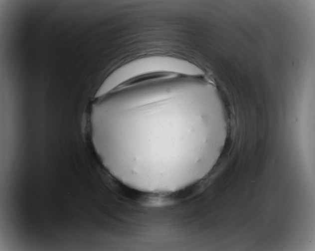 X0000087570093200705251829