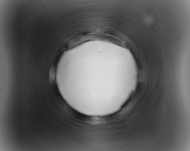 X0000087570095200705251829