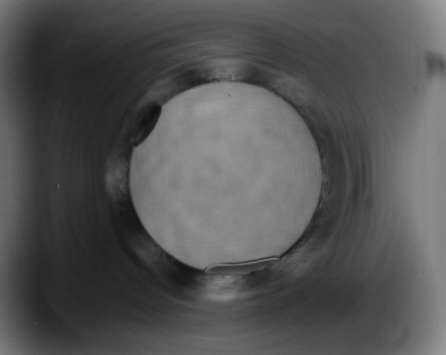 X0000087570096200705251829