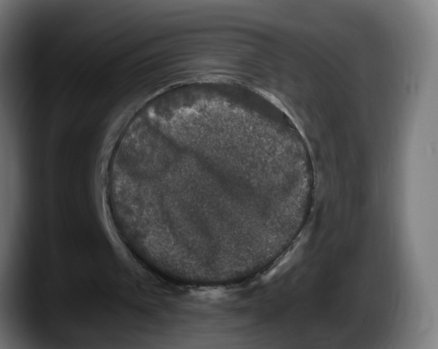 X0000087570097200705251828