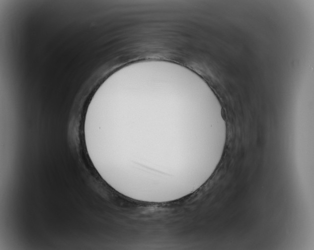 X0000087570098200705251828