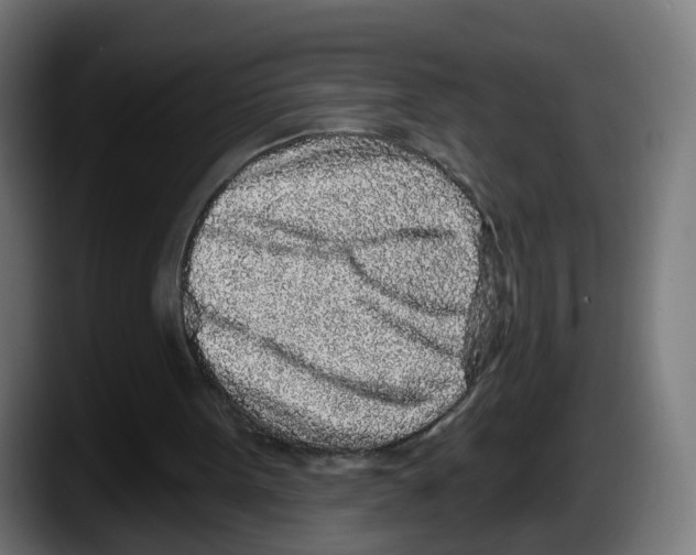 X0000087570099200705251828