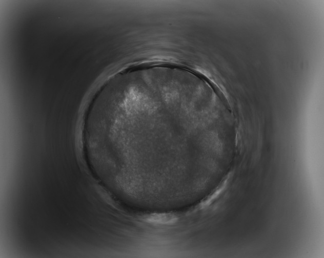 X0000087570101200705251828