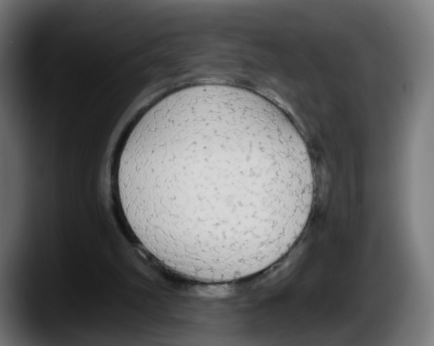 X0000087570102200705251828