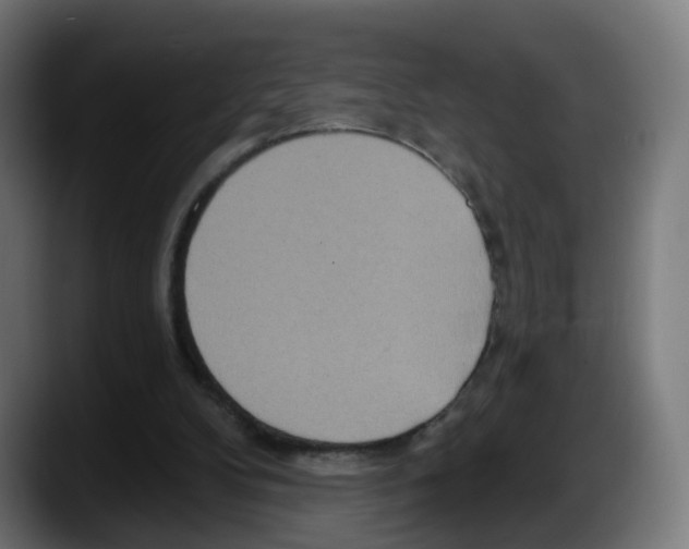 X0000087570104200705251828