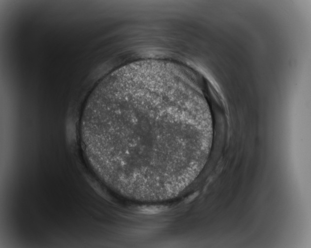 X0000087570105200705251828