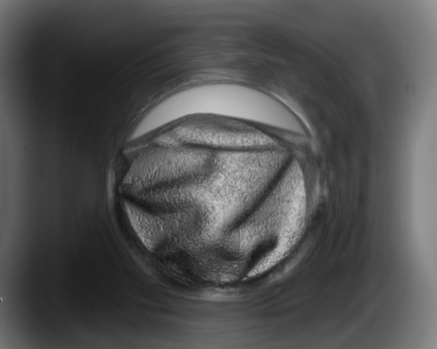 X0000087570109200705251828