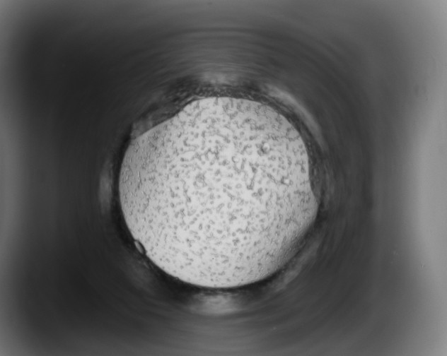 X0000087570113200705251828