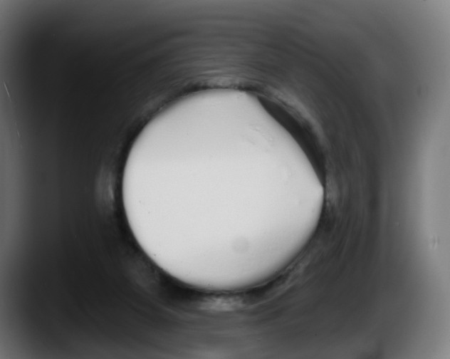 X0000087570115200705251828