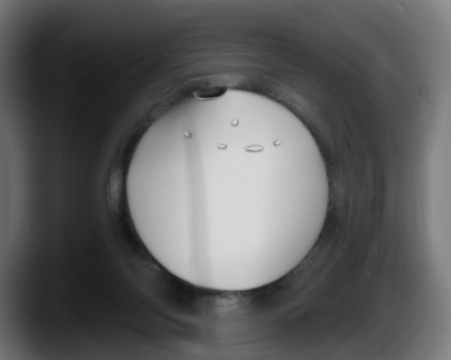 X0000087570118200705251828