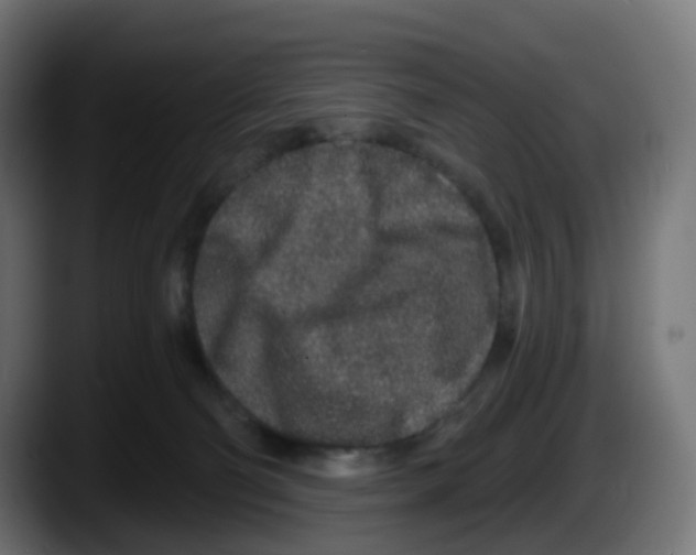 X0000087570130200705251828