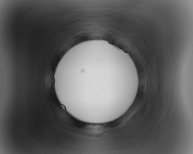 X0000087570133200705251828