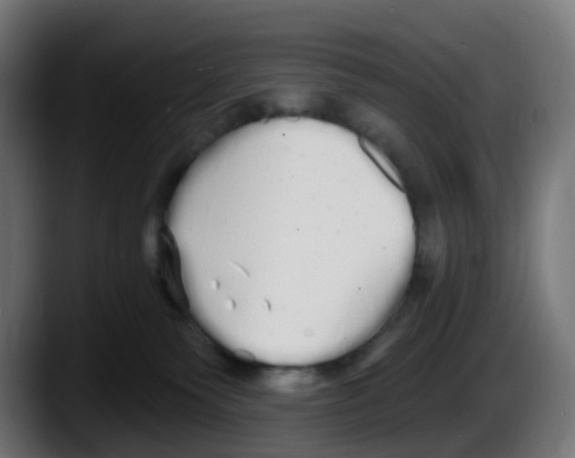 X0000087570135200705251828