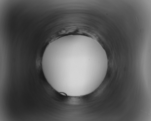 X0000087570141200705251828