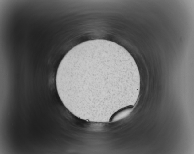 X0000087570144200705251828