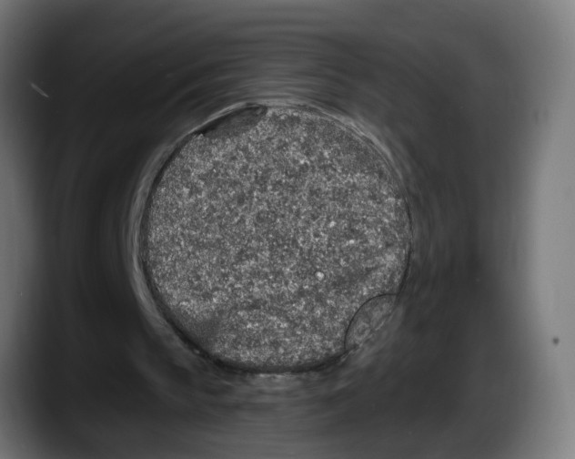 X0000087570145200705251827