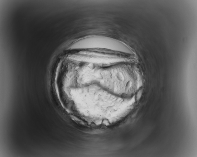 X0000087570149200705251827