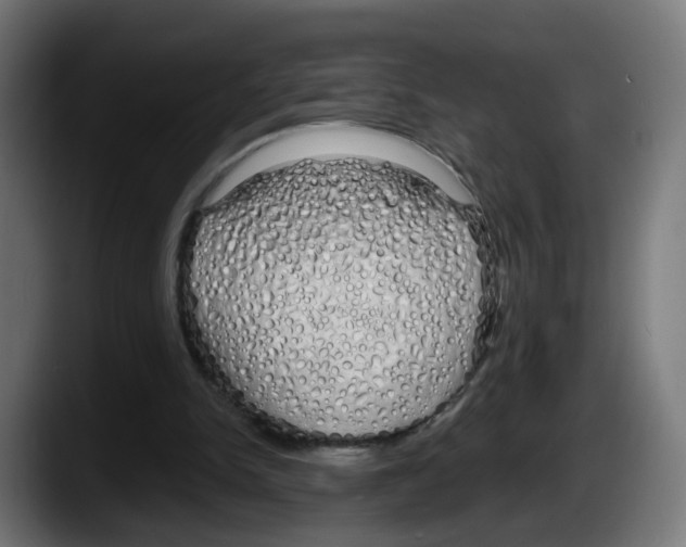 X0000087570150200705251827