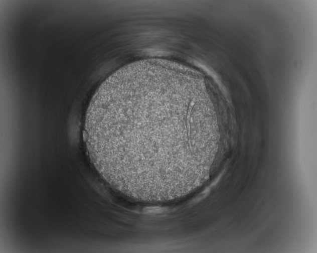 X0000087570153200705251827