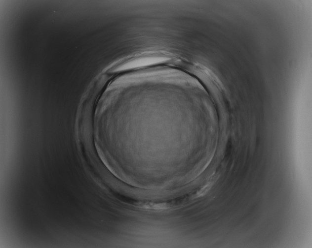 X0000087570156200705251827