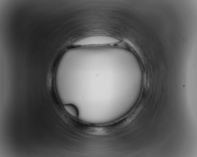 X0000087570157200705251827