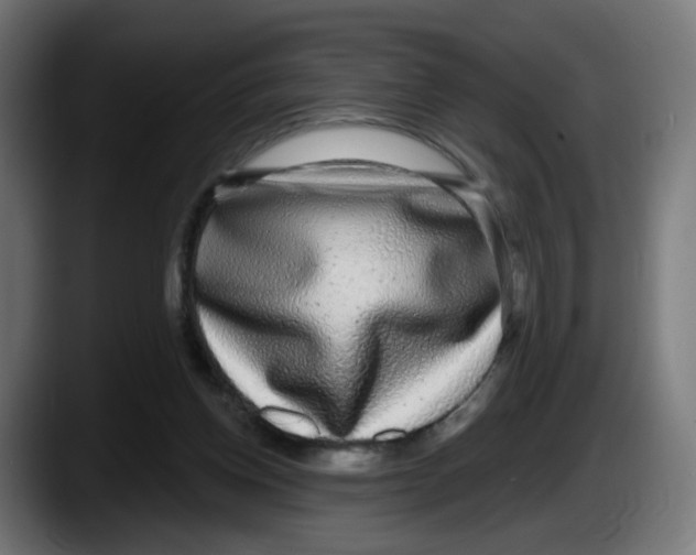 X0000087570158200705251827