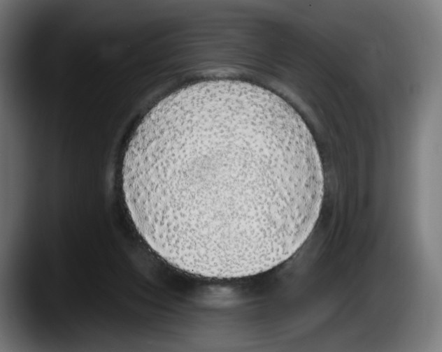 X0000087570159200705251827