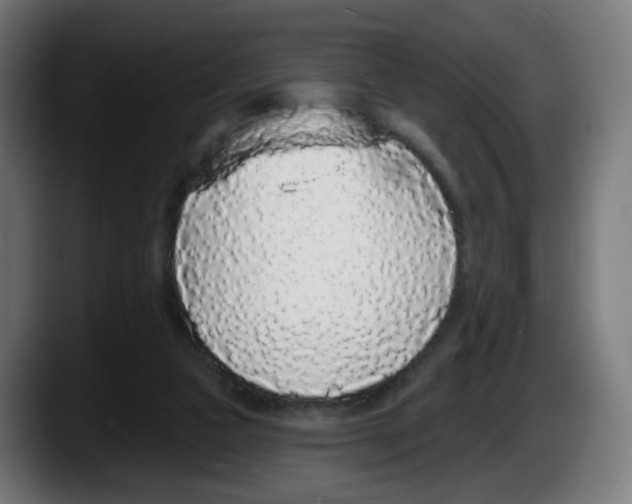 X0000087570161200705251827