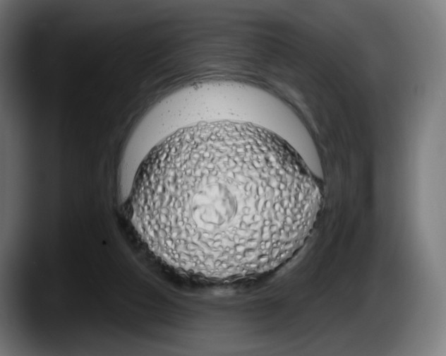 X0000087570162200705251827