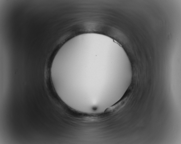 X0000087570164200705251827