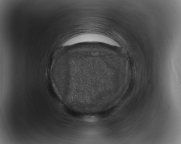 X0000087570169200705251828