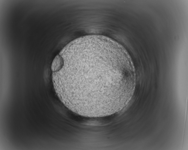 X0000087570171200705251828