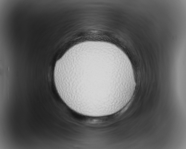 X0000087570174200705251828