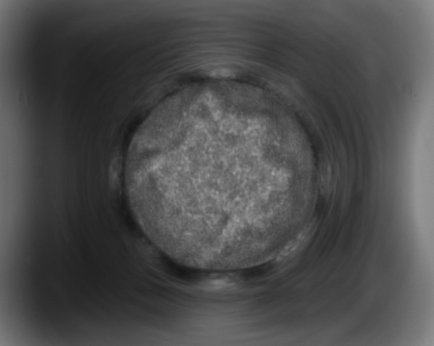 X0000087570175200705251828