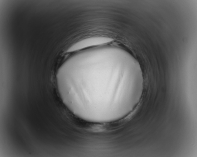 X0000087570178200705251828