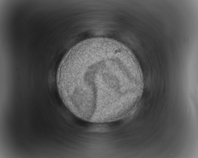 X0000087570179200705251828