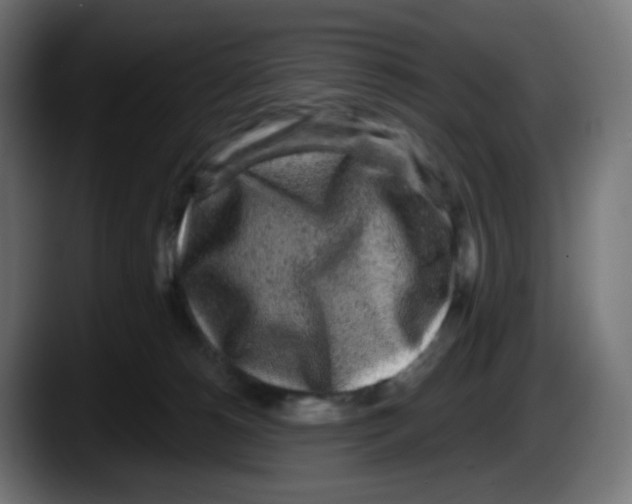 X0000087570180200705251828