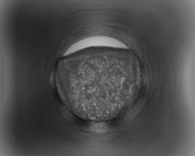 X0000087570185200705251828