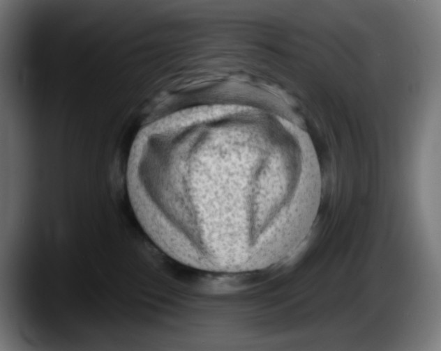 X0000087570186200705251828