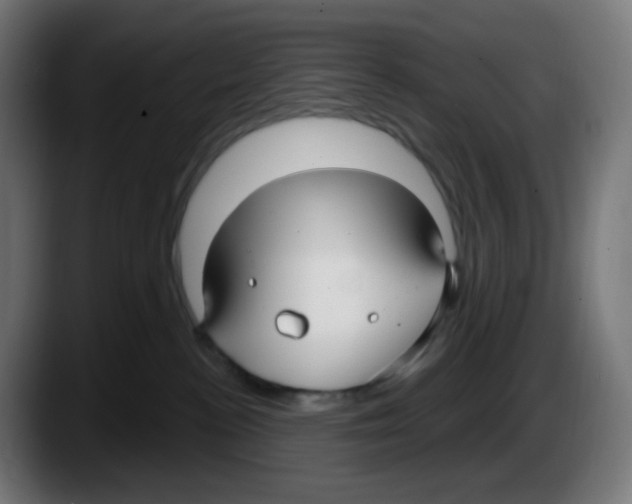 X0000087570188200705251828