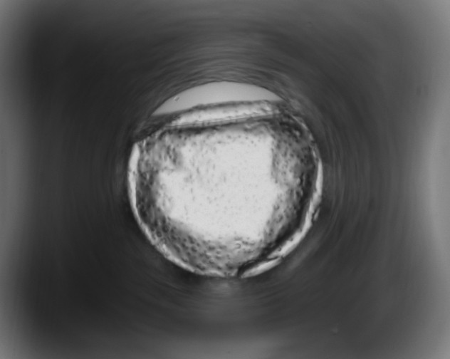 X0000087570189200705251828