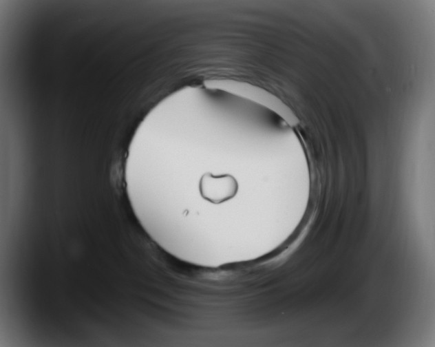 X0000087570190200705251828