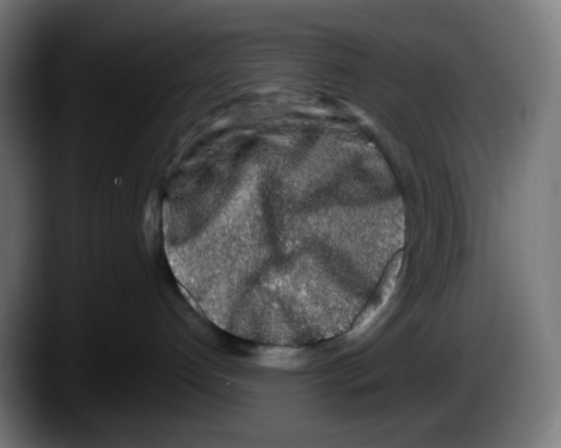 X0000087570192200705251828