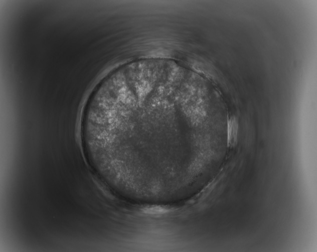 X0000087570195200705251827