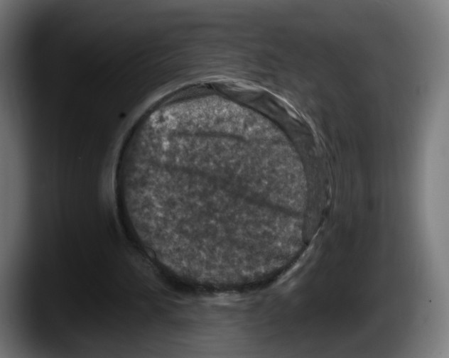 X0000087570196200705251827